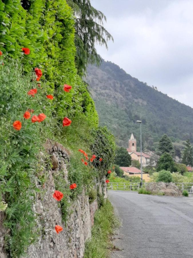 Appartamento In Villa Con Vista Monviso Piossasco Dış mekan fotoğraf